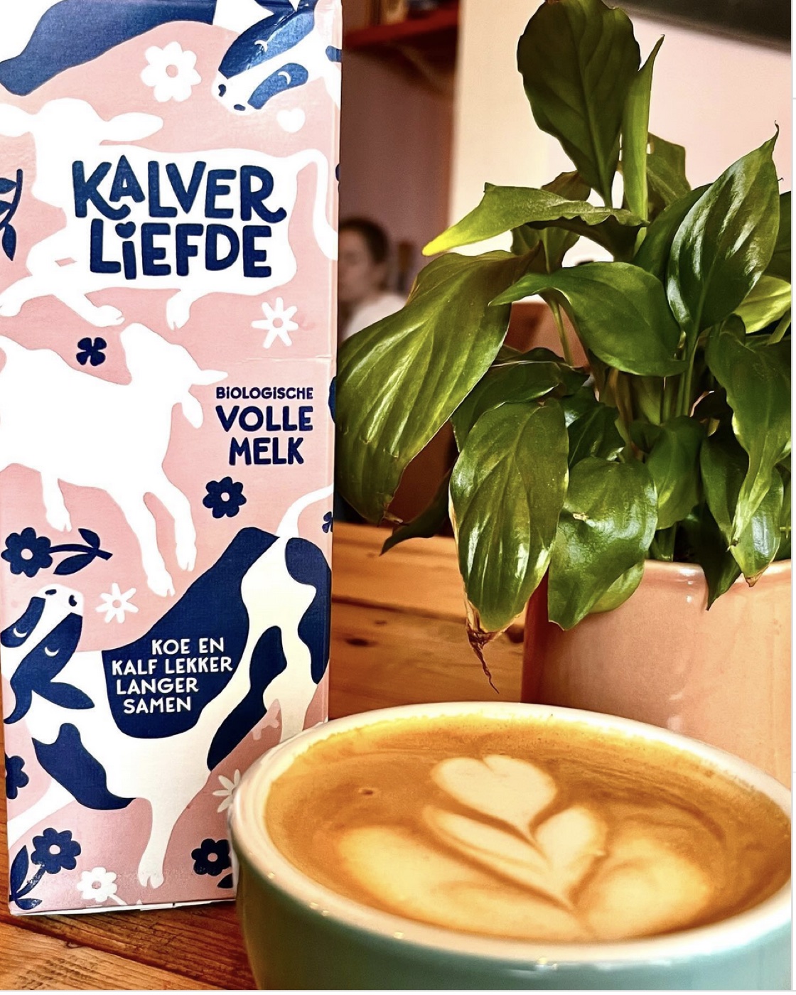 Cappuccino met Kalverliefde melk bij Koffiehuis Toos